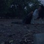 mobile-video thumbnail